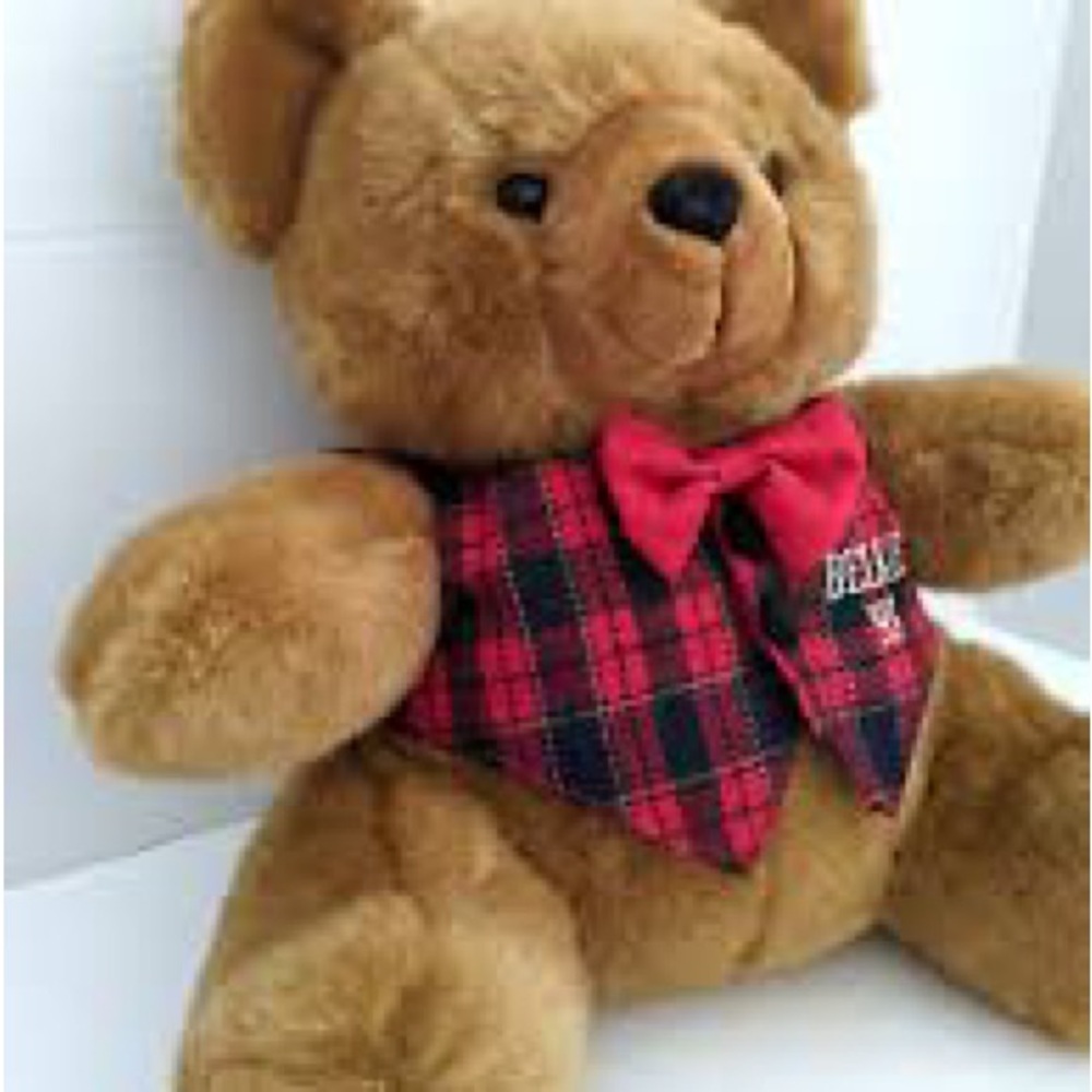 Charming Plush Bear with Red Plaid Vest